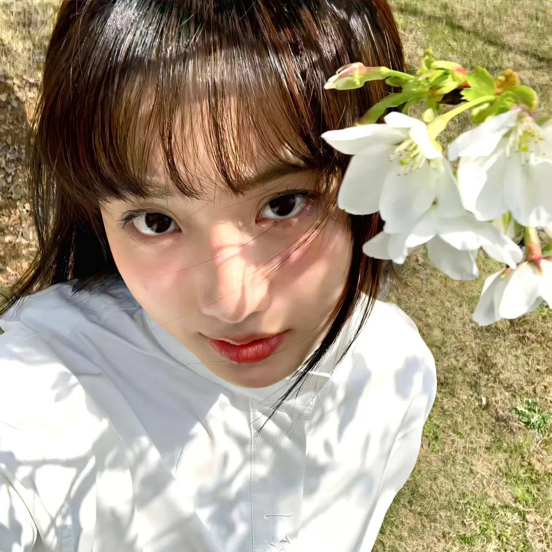 怪兽大学